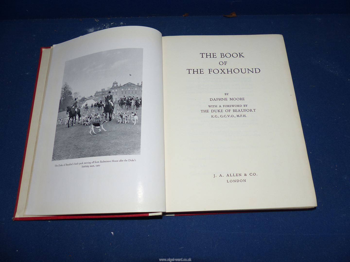 ''The book of the Fox and Hound'' by Daphne first published in 1964 J.A. - Image 10 of 12