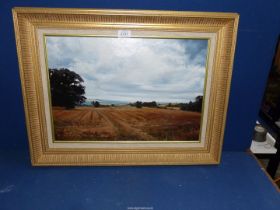 A framed oil on board signed lower left John Kelsey: a country landscape title verso 'September