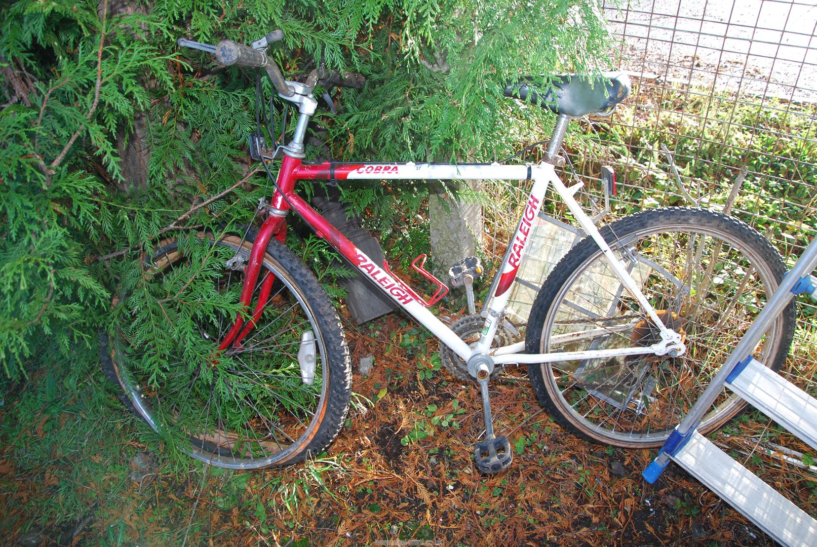 A Cobra Raleigh 18 speed bicycle.