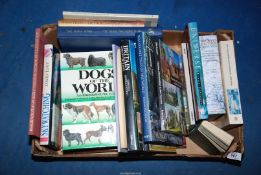 A box of books - including 'Churches of Herefordshire', 'Remarkable Tree's' , 'Dogs of the world',