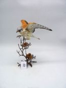 A Bird of prey in flight with fir cones etc., metal base, 12" high.