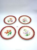 A set of four hand-painted Plates with botanic designs including Wild Rose, Double Anemone, etc.