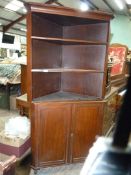 A Mahogany Corner Cupboard having a pair of opposing panelled lower doors,