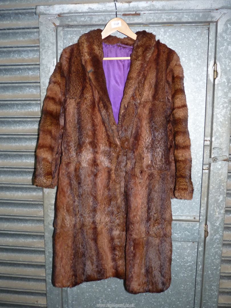 A ladies three quarter length fur coat having purple lining, size small.