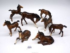 Eight Beswick foals including one Shetland, three being a/f.