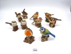 A quantity of 'Quail Ceramics' salt & pepper pots in the form of garden birds including Wrens,