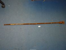 A hazel shaft walking stick with hand carved and painted hare knop having glass eyes,