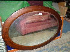 A large oval bevel plated Mirror in oak frame, 34'' x 25''.