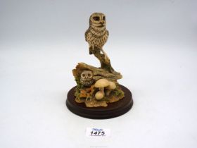 A Border Fine Arts figure of Little Owls and Owlets.