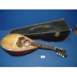 A Mandolin by Antonio DC Maglo,