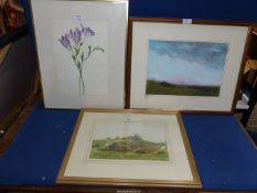 Three framed Watercolours to include; Floral study,