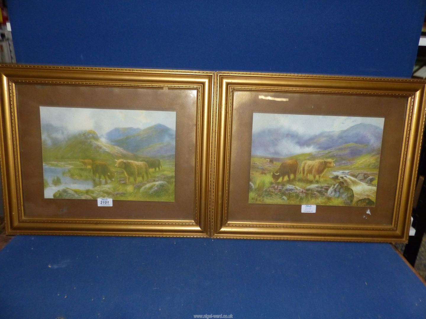Two Victorian Prints - Douglas Cameron 1880-1910 "Highland Cattle".