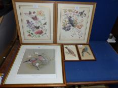Five bird/butterfly Prints, two limited edition by Marjorie Blamey, one by M.J. Clark no. 261/650.