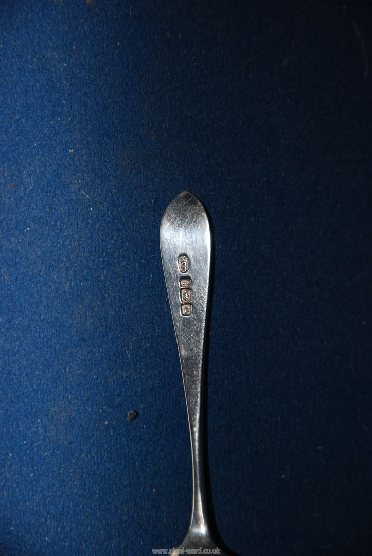 A set of twelve Silver coffee spoons and sugar tongs having engraved scroll decoration and in a red - Image 2 of 2