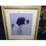 A framed Print of a Pointer.