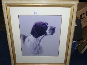 A framed Print of a Pointer.