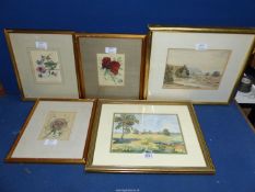 Five framed Watercolours including three floral studies by Elizabeth Sorrell,