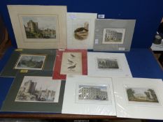 Nine mounted prints and engravings to include Williams Library Cheltenham, Animal Kingdom Grouse,