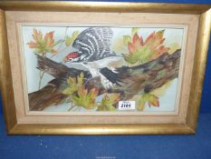 A framed Oil on board depicting a Woodpecker on a branch, signed E.E. Pound, 16 3/4" x 11".