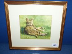 An original framed and mounted Watercolour by Patricia Butt depicting a cat lay in the sun washing