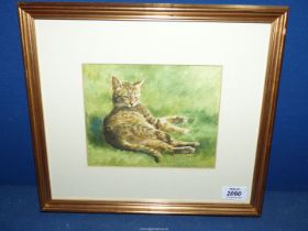 An original framed and mounted Watercolour by Patricia Butt depicting a cat lay in the sun washing