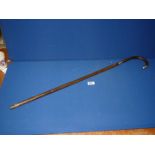 A walking cane with silver collar and tip, hallmarks rubbed.