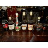 Seven bottles of Christmas cheer including Cherry Brandy, Vineyard Peach liqueur, Creme de Cacao,