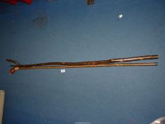 A carved hazel long shank Staff with red grouse knop along with a more traditional 'Y' top hazel