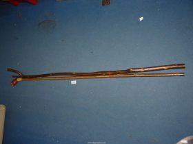 A carved hazel long shank Staff with red grouse knop along with a more traditional 'Y' top hazel