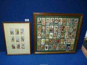 Two framed Cigarette cards sets; one of game birds and wildfowl, the other various,
