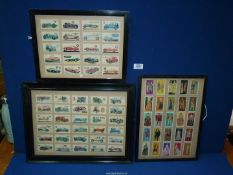 Three framed Cigarette card sets of racing cars, etc.