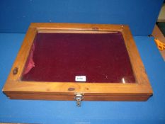 A glazed desktop Display Case with red plush lining, 20 3/4" wide x 16 1/2" deep.