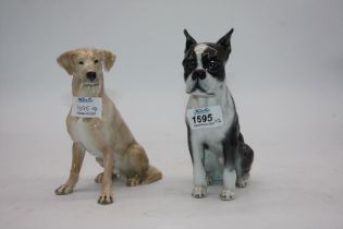 A Rosenthal, Boston Terrier figure and a Labrador figure, both 7" high.