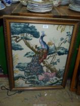 A framed and glazed tapestry picture of a peacock on a branch, 19" wide x 25" high excluding frame.