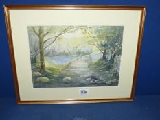 A framed Watercolour depicting a woodland scene, signed lower left Dennis Drew, 17 3/4" x 14 1/4".