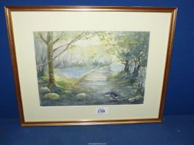 A framed Watercolour depicting a woodland scene, signed lower left Dennis Drew, 17 3/4" x 14 1/4".