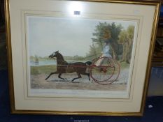 A large framed Print titled 'Lady Hampton, The Extraordinary Bay Mare', published by J.