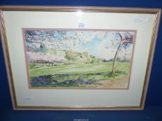 An original signed Watercolour by Susan MacColl titled 'Bradburn Blossoms'.