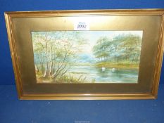 A small framed and mounted Watercolour of a river landscape with swans swimming,
