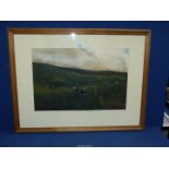 A Watercolour of Friesian cows at pasture titled 'Cattle at Sunset', signed lower right 'Moss',