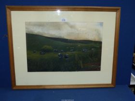 A Watercolour of Friesian cows at pasture titled 'Cattle at Sunset', signed lower right 'Moss',