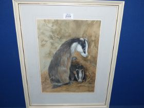 A mixed media painting of Badgers by David Blake.