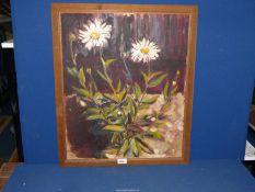 An Oil on board of daisies, signed AG.