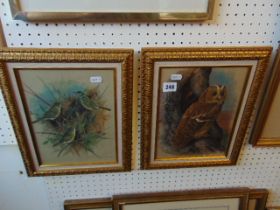 A pair of gilt framed bird prints