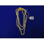 A three row Pearl necklace with 18ct Gold Chrysanthemum clasp set with Diamond and Ruby