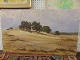 An oil on board, African landscape, Zambia, signed by Gabriel Ellison,