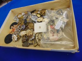 A collection of military badges etc.