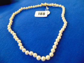 A Pearl necklace with 14ct Gold clasp