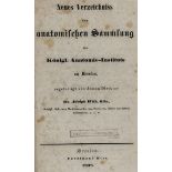 Medizin - Anatomie - - Otto, Adolph