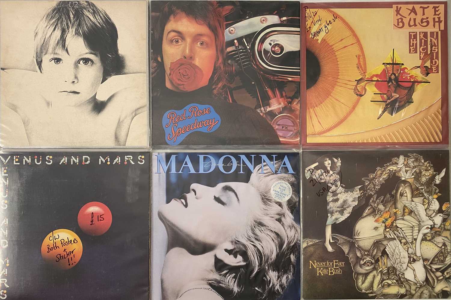 50's - 80's POP / ROCK / ROCK & ROLL - LP / 12" COLLECTION